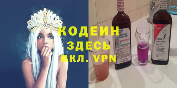 хмурый Аркадак