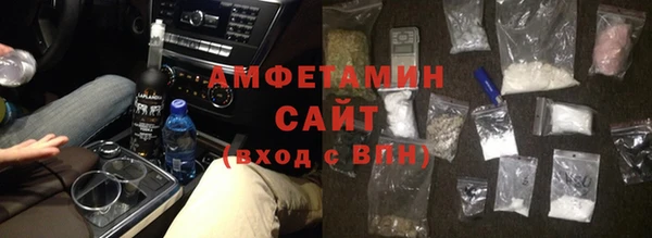 хмурый Аркадак