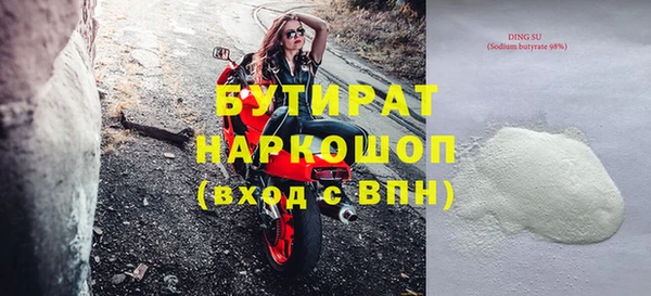 хмурый Аркадак