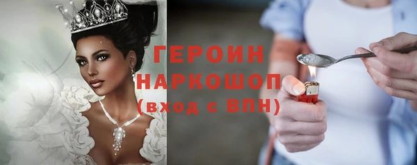 хмурый Аркадак