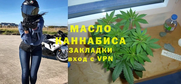 хмурый Аркадак