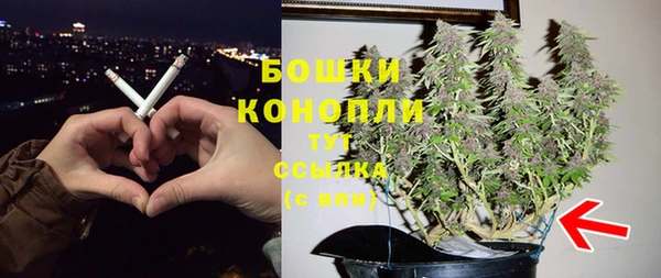 хмурый Аркадак