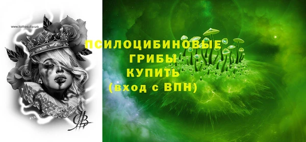 хмурый Аркадак