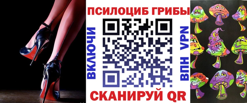 сколько стоит  Сухой Лог  Галлюциногенные грибы Psilocybine cubensis 